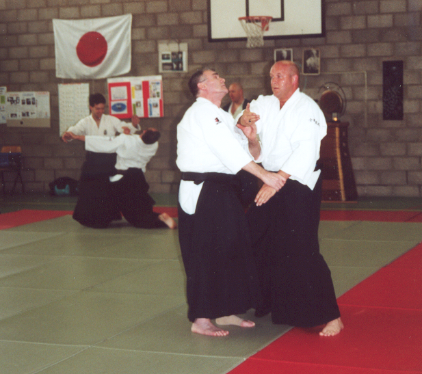 Aikibudo techniek