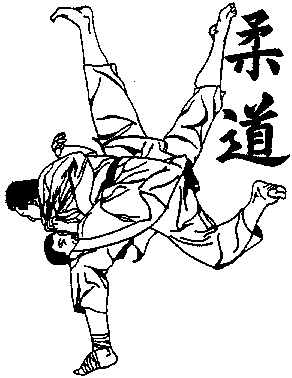 Judoplaatje