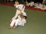 Jiu-Jitsu examens jeugd
