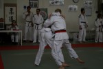 Judo wedstrijden 9-4-2016 049_800x534