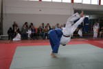Judo wedstrijden 9-4-2016 078_800x534