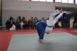 Judo wedstrijden 9-4-2016 078_800x534