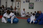 Judo wedstrijden 9-4-2016 166_800x534