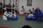 Judo wedstrijden 9-4-2016 167_800x534