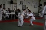 Judo wedstrijden 9-4-2016 301_800x534