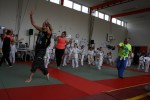 Judo wedstrijden 9-4-2016 340_800x534