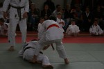 Judo wedstrijden 9-4-2016 356_800x534