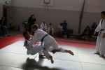 Judo wedstrijden 9-4-2016 459_800x534