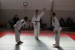 Judo wedstrijden 9-4-2016 460_800x534