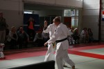 Judo wedstrijden 9-4-2016 461_800x534