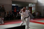 Judo wedstrijden 9-4-2016 462_800x534