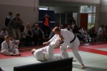 Judo wedstrijden 9-4-2016 463_800x534