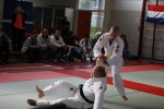 Judo wedstrijden 9-4-2016 466_800x534